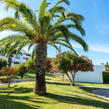 Casa Alegria - Alporchinhos House With Pool Σπίτι διακοπών Porches (Algarve)